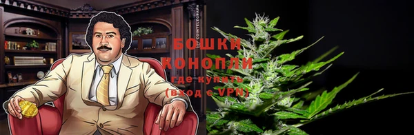 spice Богородицк