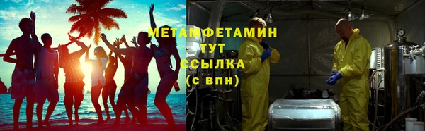 спиды Богданович