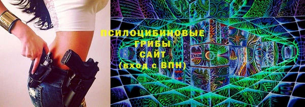 стафф Богородск