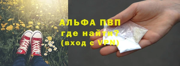 spice Богородицк