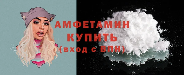 spice Богородицк