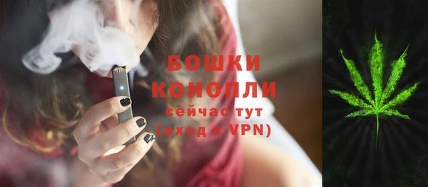 spice Богородицк