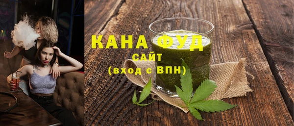 spice Богородицк