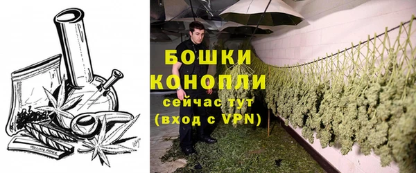spice Богородицк