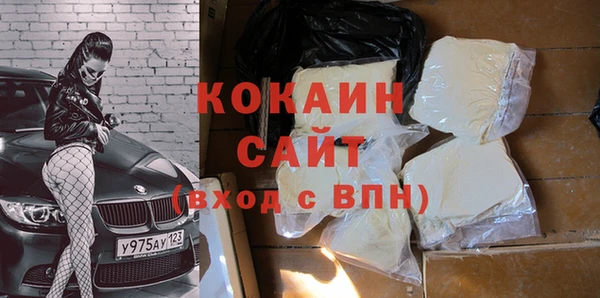 spice Богородицк