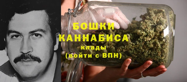 стафф Богородск