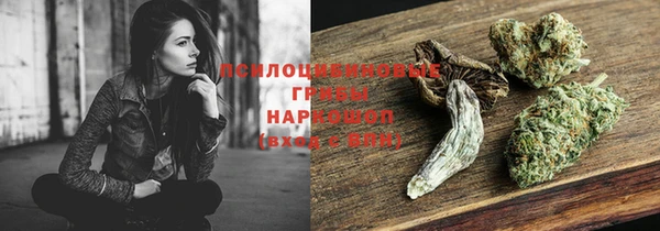 спиды Богданович
