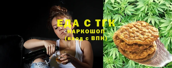 spice Богородицк