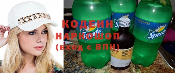 spice Богородицк